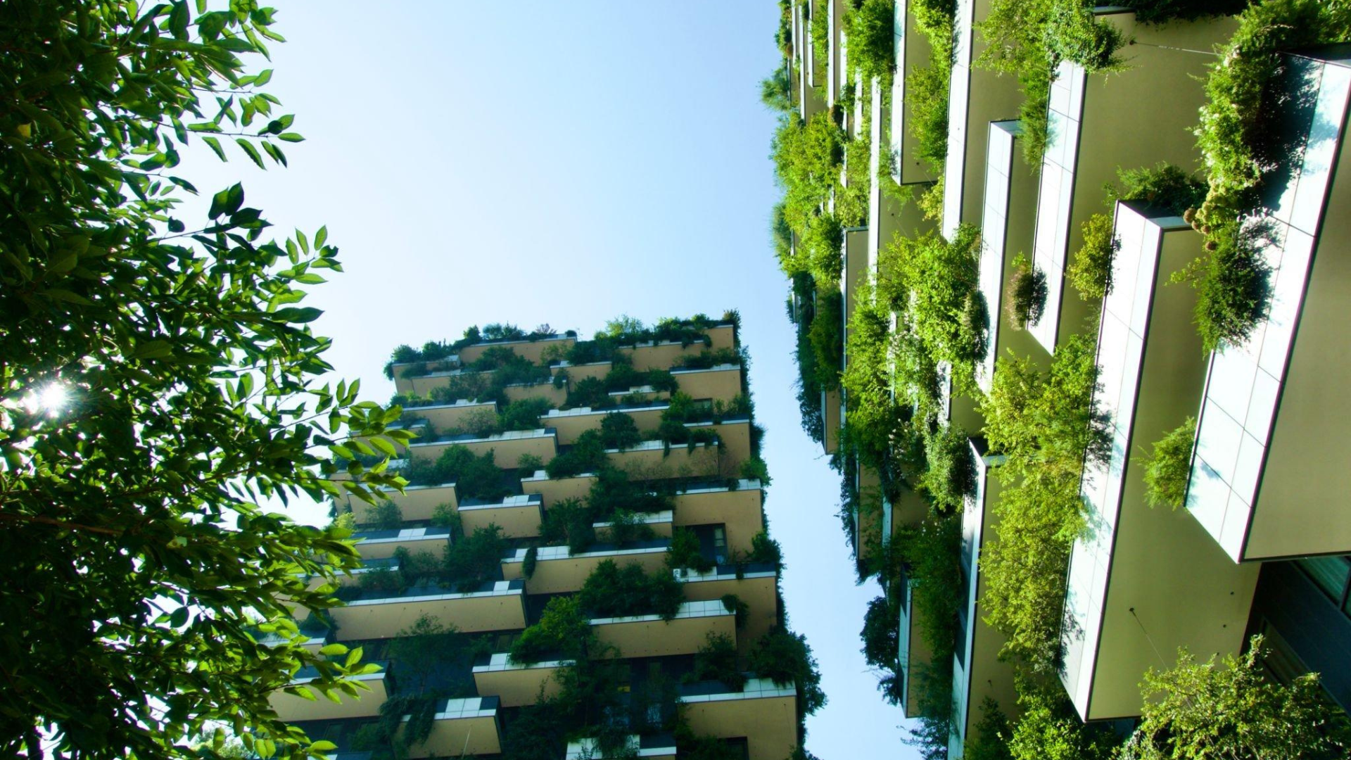 découvrez l'efficacité énergétique avec Eneffic